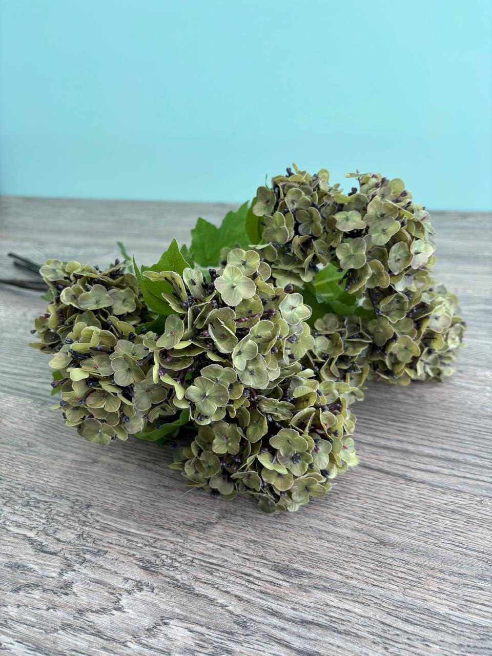 Τρία κλαδιά ορτανσίας Bloom