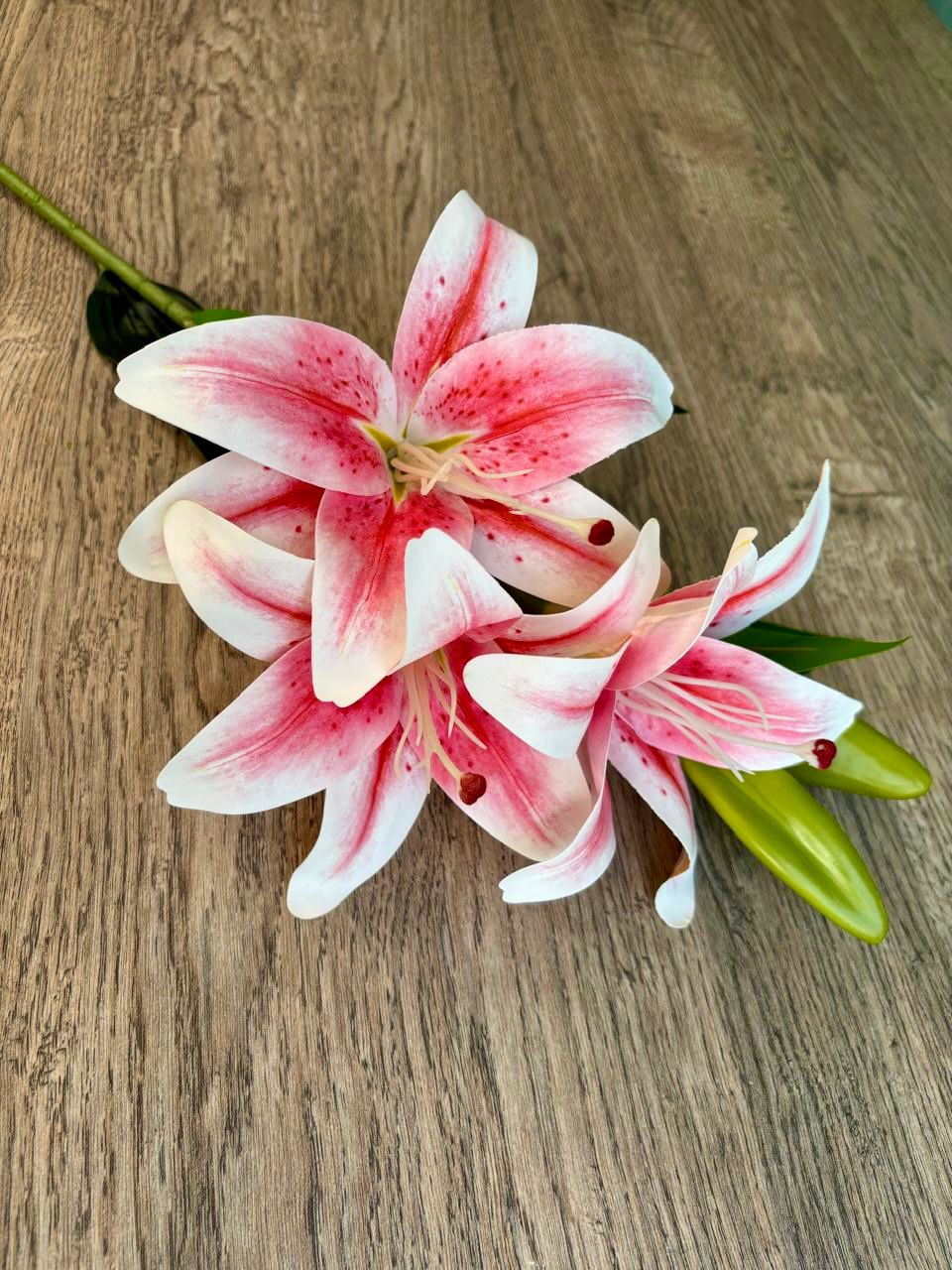 Triple Bloom Lily
