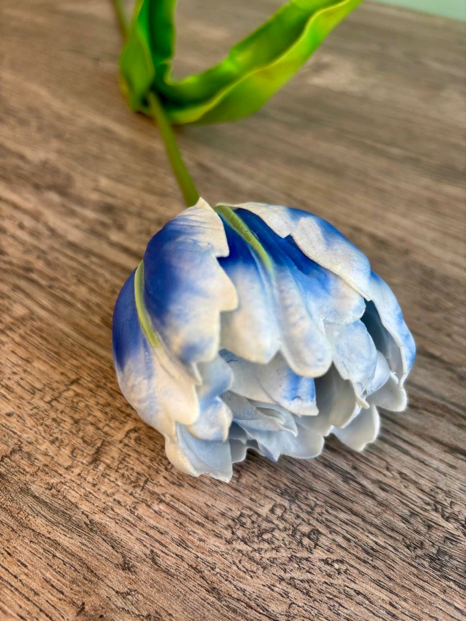 Soft Bloom Tulip