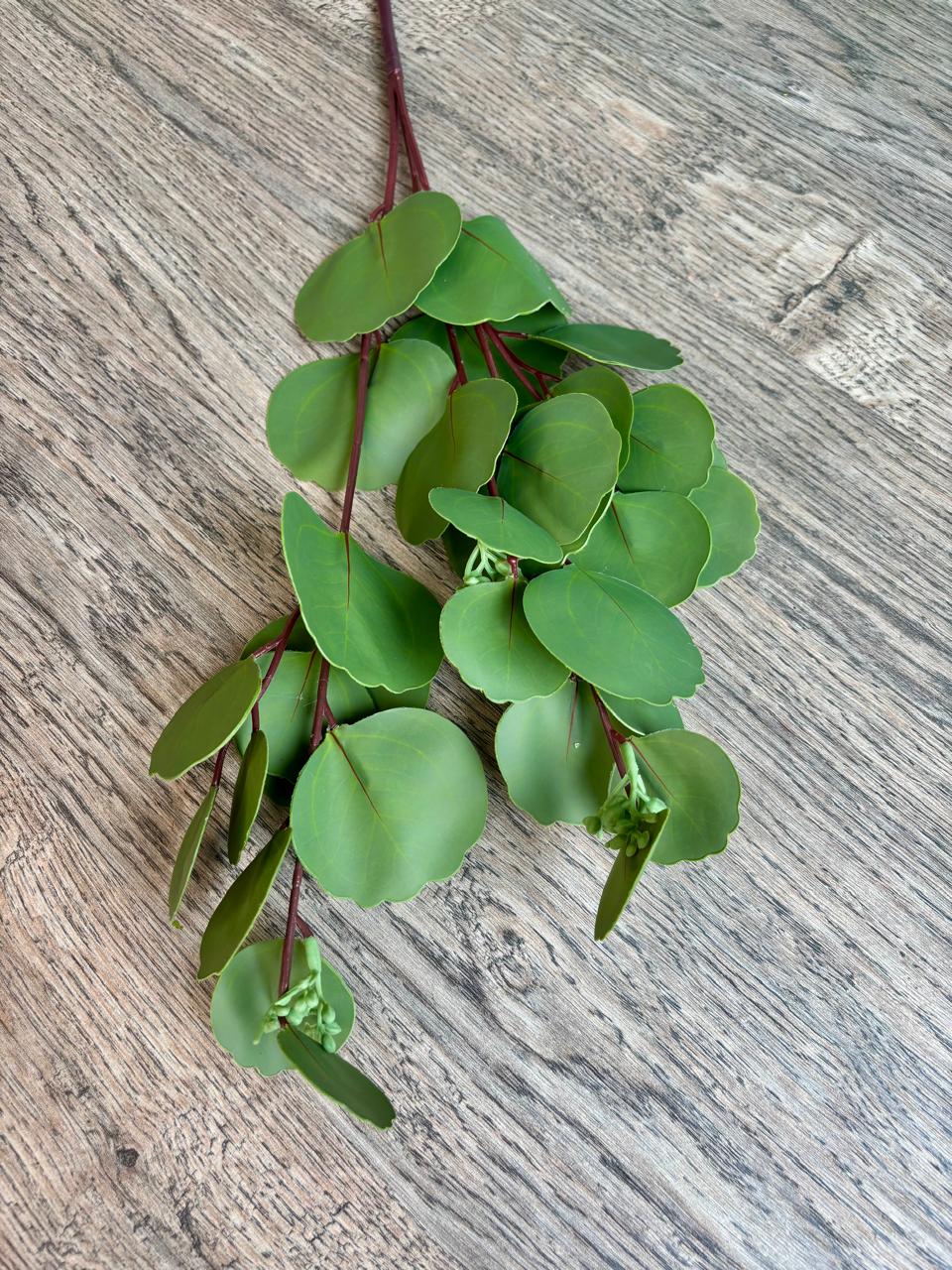 Eucalyptus Luxe