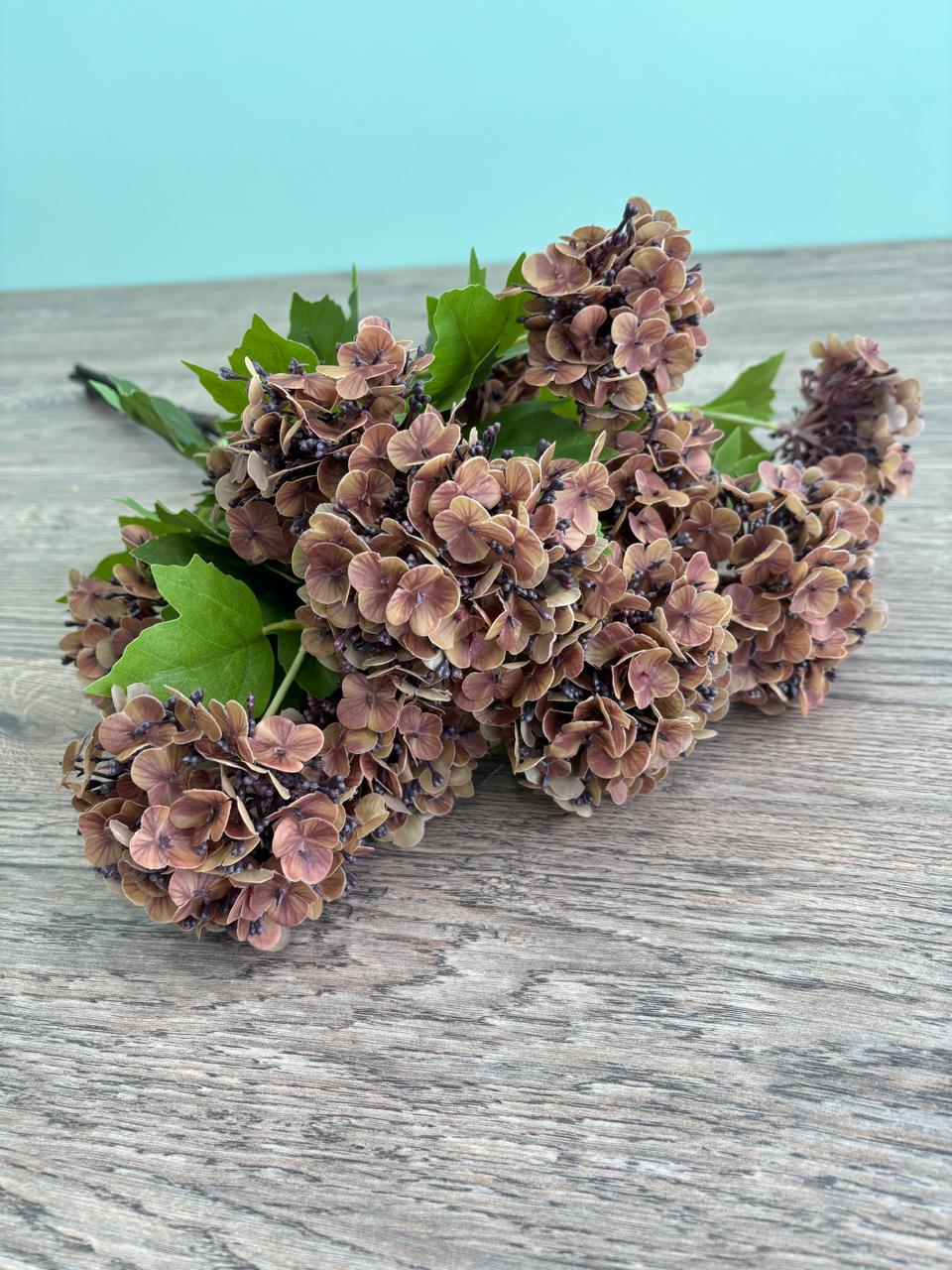 Τρία κλαδιά ορτανσίας Bloom