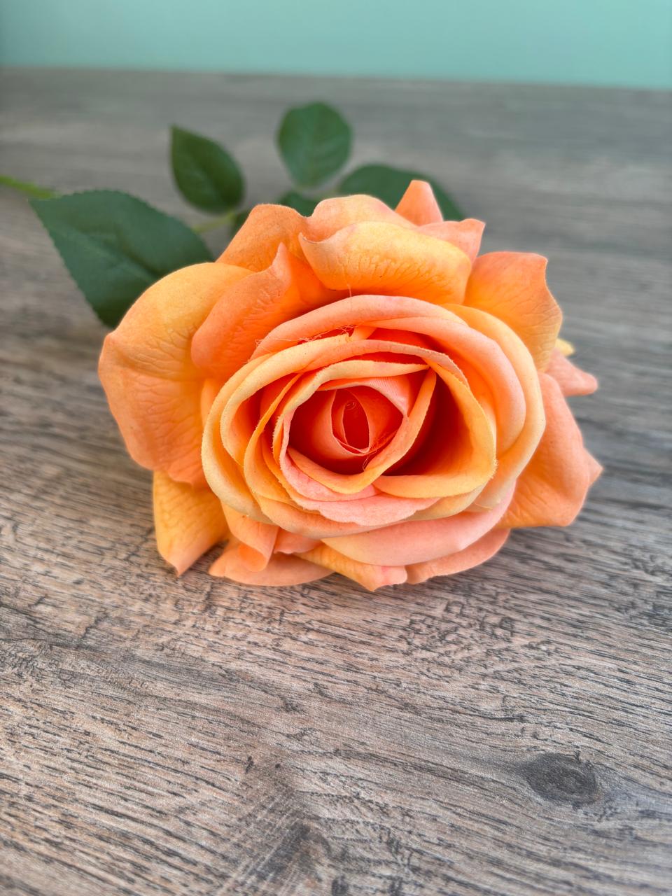 Velvet Rose
