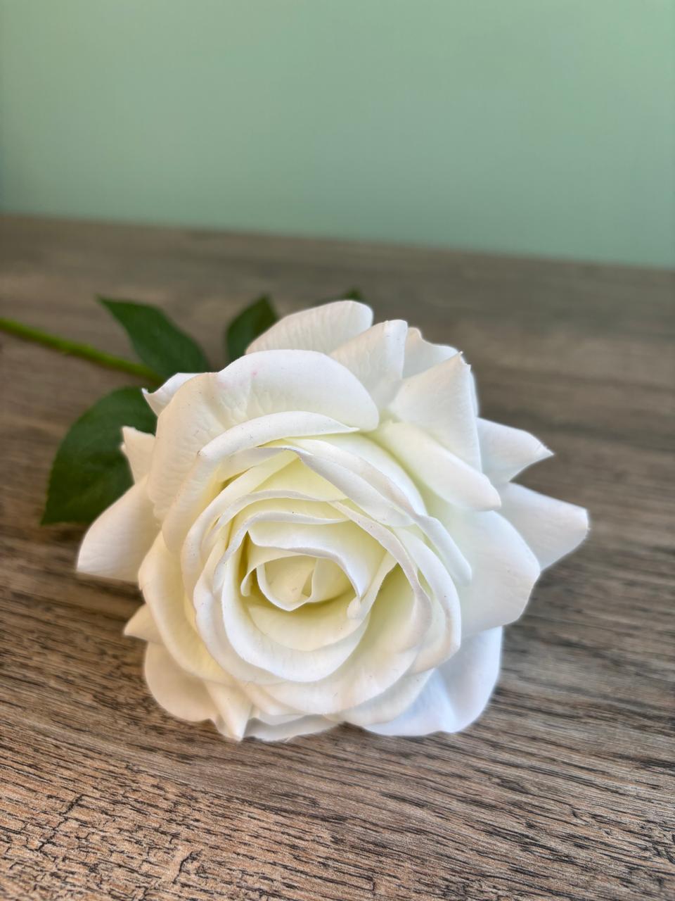 Velvet Rose