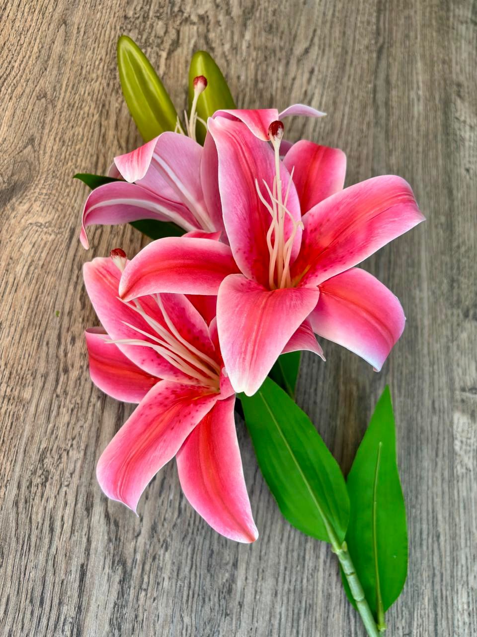 Triple Bloom Lily