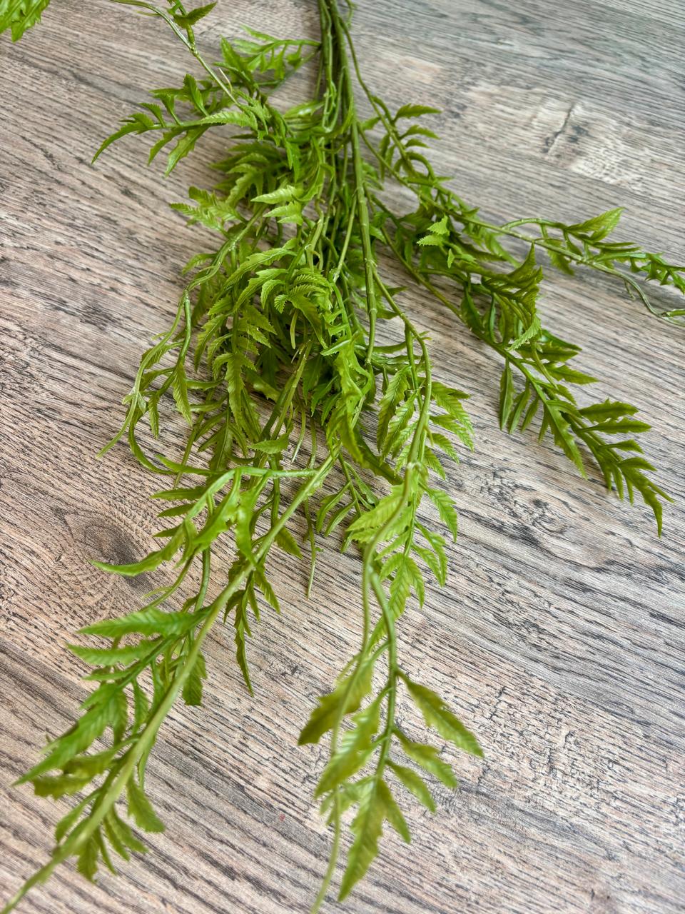Botanical Fern